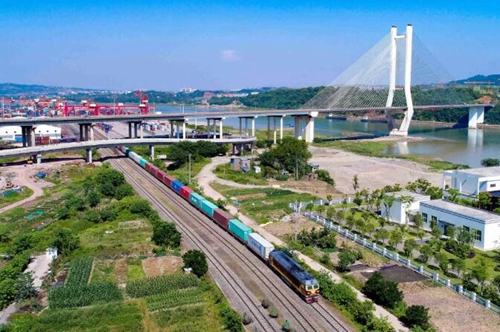 乘自贸东风&nbsp;书写蓬勃发展的龙马新篇章(图3)