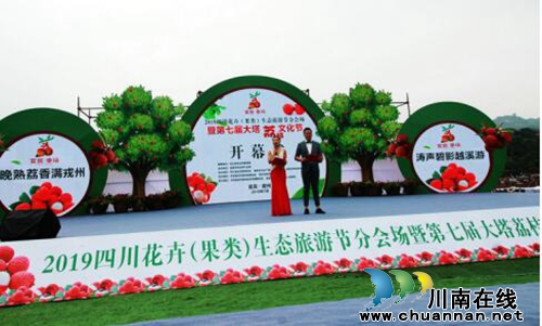 四川宜宾：北半球最晚熟大塔荔枝开园采摘(图1)