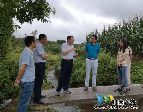 泸州市龙溪河河长制督查组到立石镇调研省级界面水质自动监测点选点工作(图1)