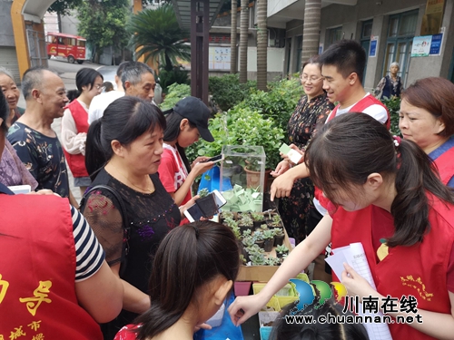 龙马潭区罗汉街道石樑社区开展“绿水青山就是金山银山”绿植领养活动(图1)