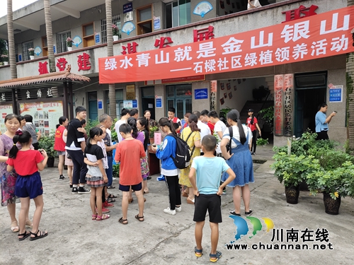 龙马潭区罗汉街道石樑社区开展“绿水青山就是金山银山”绿植领养活动(图2)