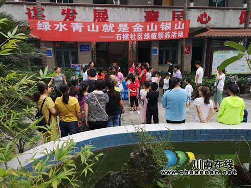 龙马潭区罗汉街道石樑社区开展“绿水青山就是金山银山”绿植领养活动(图4)