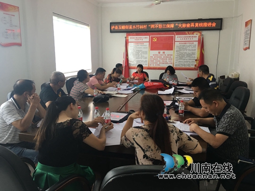 泸县玉蟾街道开展“两不愁三保障”大排查问题再复核工作(图3)