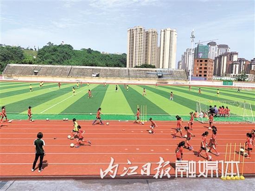 内江足球魅力绽放 德国客人三赴内江谈合作(图2)