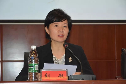 “南燕还巢” 100名大学生感知自贡(图2)