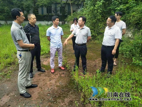 市委副秘书长张兴友到泸县立石镇督导环保工作(图1)