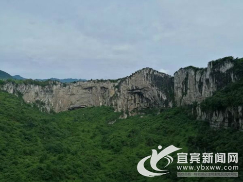 四地艺术家相聚宜宾兴文 用画笔画下最美石海(图3)