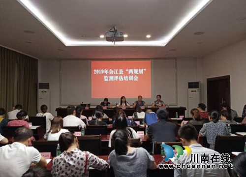 合江县召开2019年“两规划”监测评估培训会(图1)