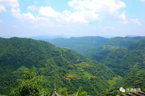 酒香不怕巷子深—央视导演再访沈酒庄(图10)