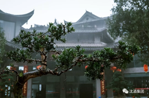 沈鸿林参加首届世界长寿论坛暨生命科学大会(图10) 沈鸿林参加首届世界长寿论坛暨生命科学大会(图10)