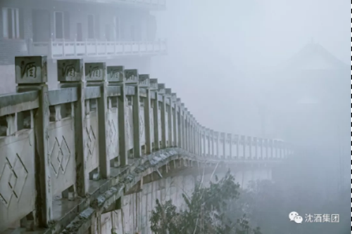 沈鸿林参加首届世界长寿论坛暨生命科学大会(图11) 沈鸿林参加首届世界长寿论坛暨生命科学大会(图11)