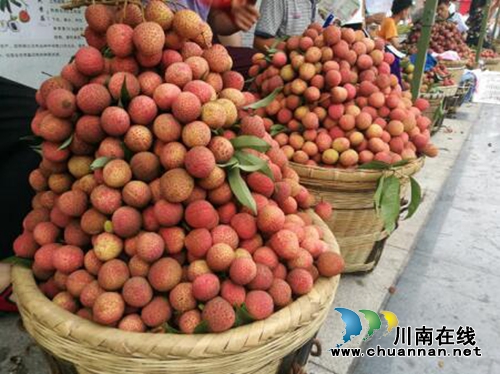 合江荔枝节：上万人打卡荔枝文化广场！(图6)