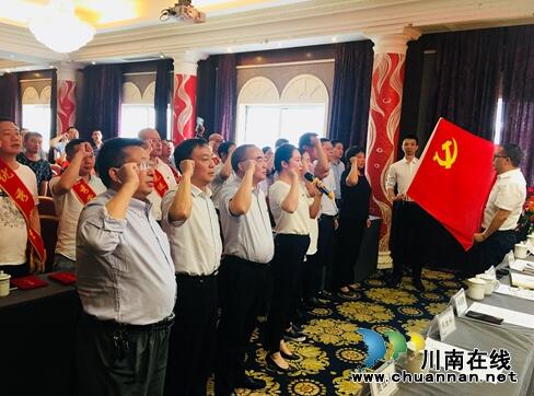 龙马潭：推动川南临港片区经济社会高质量发展(图2)