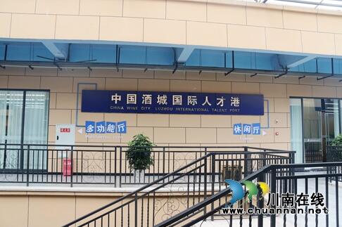 龙马潭：推动川南临港片区经济社会高质量发展(图4)