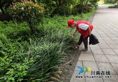 江阳区张坝街道桂圆林社区与长江小学联合开展青少年环保活动(图1)