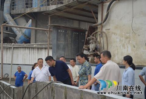 鞠丽率队督导泸县生态环保攻坚及重点项目工作(图3)