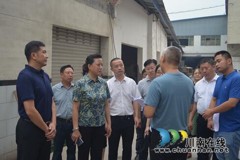 鞠丽率队督导泸县生态环保攻坚及重点项目工作(图4)