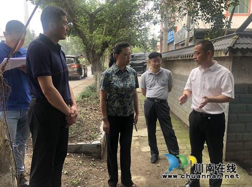 鞠丽率队督导泸县生态环保攻坚及重点项目工作(图6)