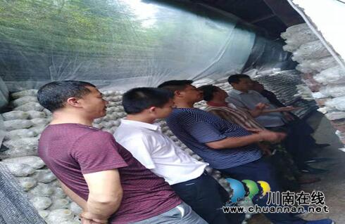 叙永县群英村到合江法王寺镇天池村交流学习集体经济发展工作(图2)