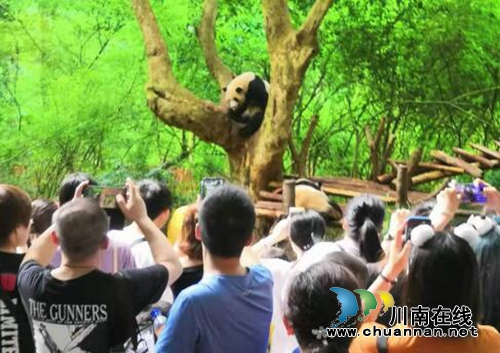 宜宾叙州区开展2019年暑期农民工留守儿童成都游学活动(图2)