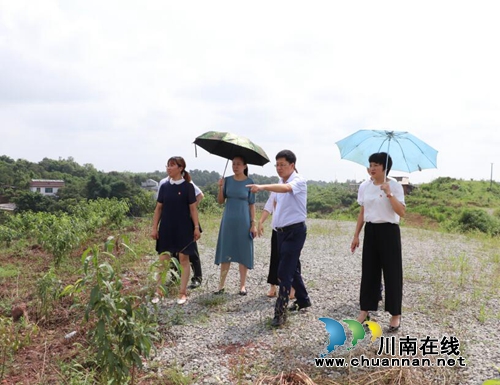 泸州市委组织部副部长张国华到龙马潭区调研(图1) 泸州市委组织部副部长张国华到龙马潭区调研(图1)