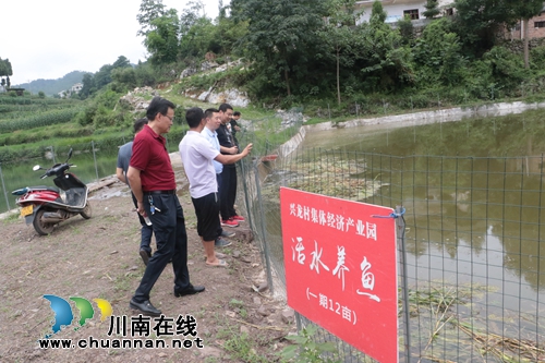 龙马潭区莲花池街道&nbsp;助推古蔺石宝镇产业发展(图1)