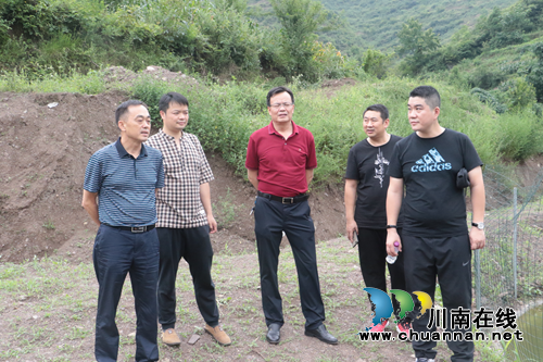 龙马潭区莲花池街道&nbsp;助推古蔺石宝镇产业发展(图4)