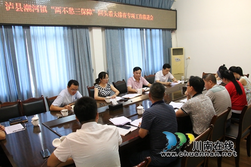 泸县潮河镇召开“两不愁三保障”回头看大排查专项工作推进会(图2)