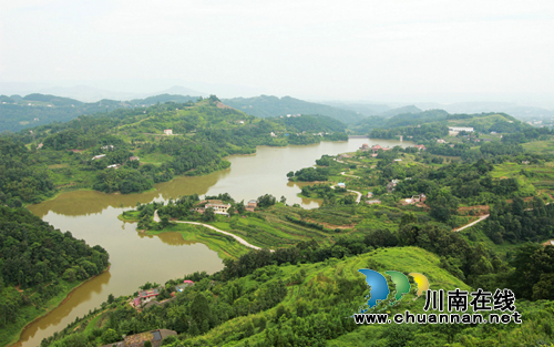 宜宾“油樟王国”即将开启康养新业态(图1)