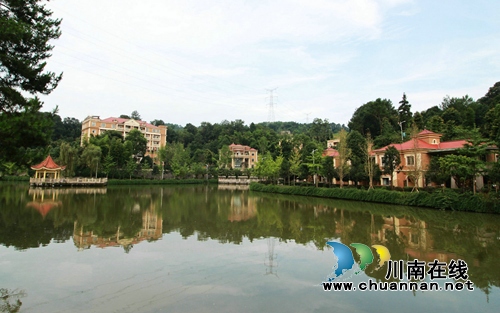 宜宾“油樟王国”即将开启康养新业态(图3)