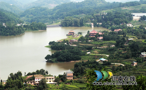 宜宾“油樟王国”即将开启康养新业态(图4)