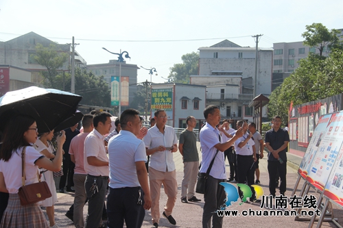 全市基层优秀党组织书记到泸县云龙镇观摩学习基层党建工作(图2)