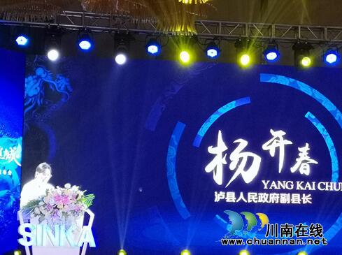 星艺佳入驻泸县&nbsp;引领龙城高端家居生活！(图3)