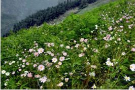 泸州转型发展受到国务院办公厅表彰(图6)