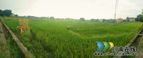 龙马潭区上半年经济运行情况如何？一文读懂(图5)