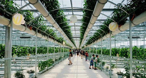 江阳半期考:GDP、三项经济指标增速全市第一(图3) 江阳半期考:GDP、三项经济指标增速全市第一(图3)