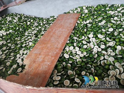 泸县太伏发展枳壳产业&nbsp;小酸果成“绿色银行”(图4)