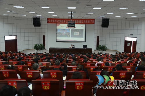 江阳区华阳街道党工委书记在全省街道社区党组织书记加强城市基层党建工作培训示范班上作交流发言(图1)