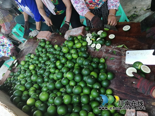泸县太伏发展枳壳产业&nbsp;小酸果成“绿色银行”(图7)