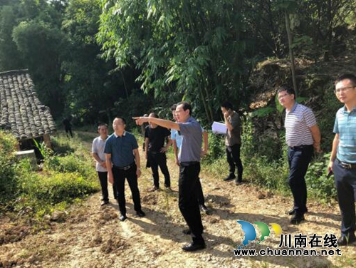 泸州市自然资源和规划局检查指导泸县主汛期地质灾害防治工作(图1)