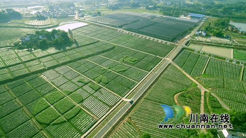 江阳区分水岭镇入选第三批省级特色小城镇(图3)