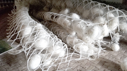 古蔺:村翁习性不浮华 只种桑麻不种花(图2) 古蔺:村翁习性不浮华 只种桑麻不种花(图2)