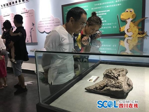 自贡：15件古鸟类化石标本展示恐龙演化过程(图1)