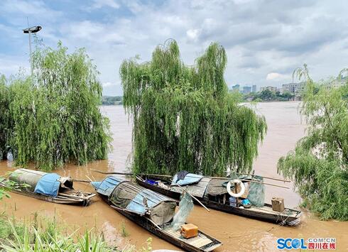 12.63米！来势凶涨幅大&nbsp;今年最大洪峰过境泸州(图1)