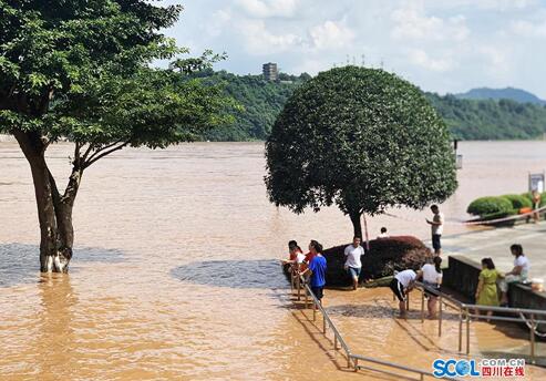 12.63米！来势凶涨幅大&nbsp;今年最大洪峰过境泸州(图2)