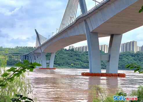 12.63米！来势凶涨幅大&nbsp;今年最大洪峰过境泸州(图5)