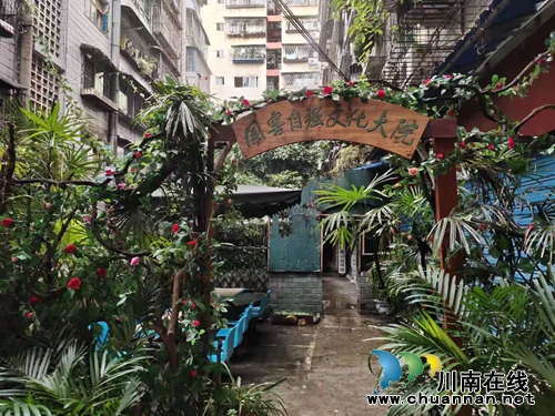 群策群力&nbsp;共建泸州特色残疾人文创家园(图7)