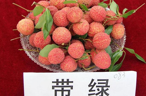 出国了！50吨合江荔枝出口澳大利亚(图1)