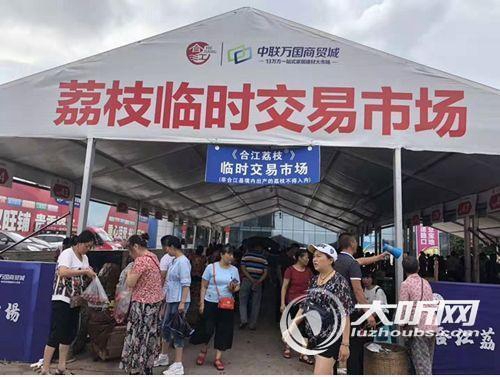 合江荔枝总产量达6千万斤以上预计产值超15亿(图2)