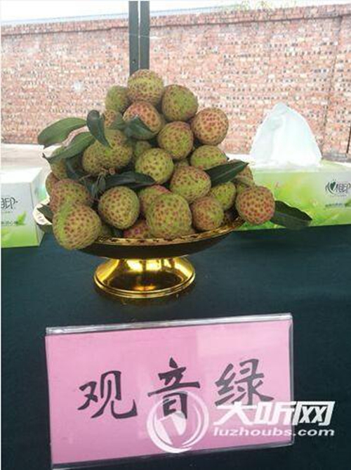 合江荔枝总产量达6千万斤以上预计产值超15亿(图3)